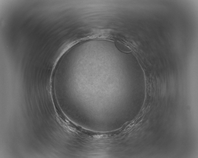 X0000058760100200509301028