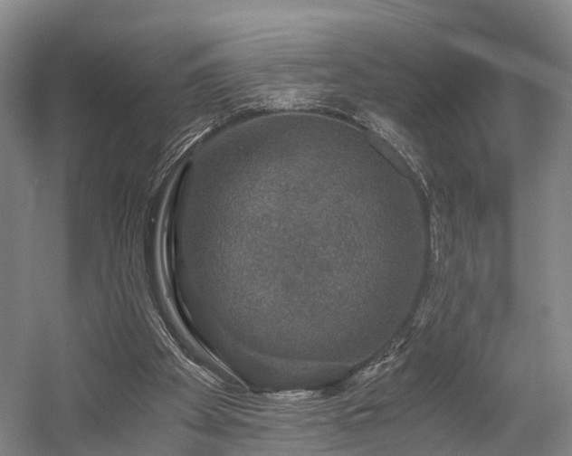 X0000058760105200509301028