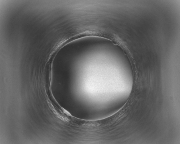 X0000058760106200509301028