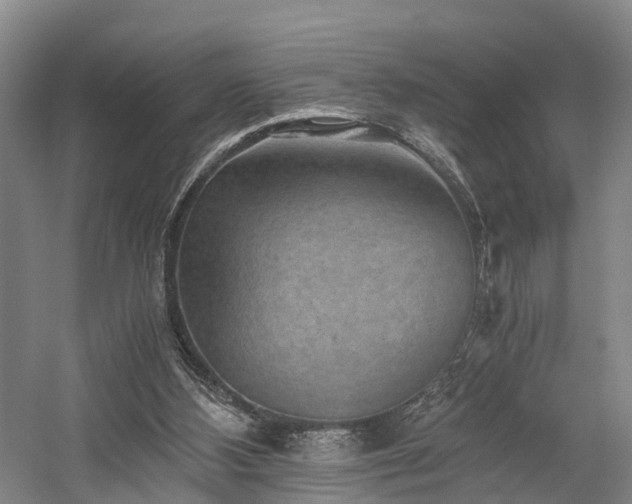 X0000058760108200509301028