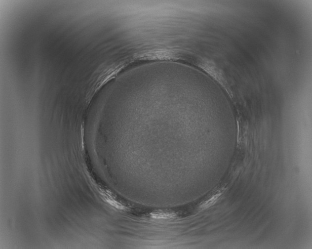 X0000058760109200509301028