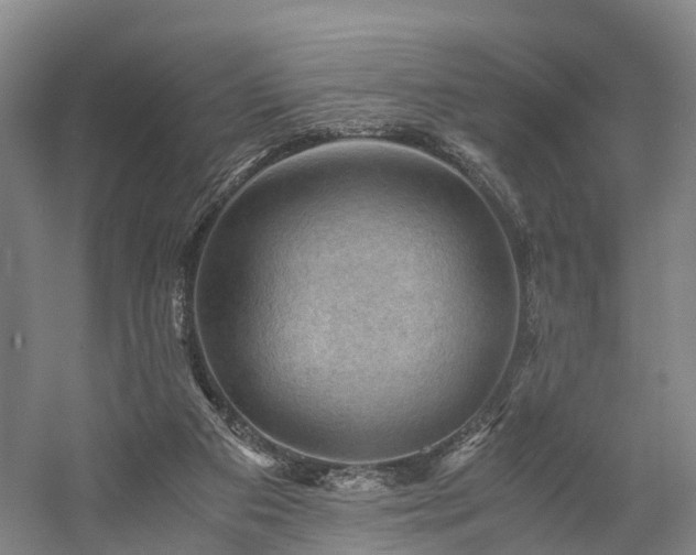 X0000058760113200509301028
