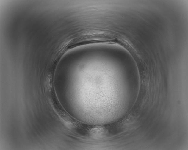 X0000058760119200509301028