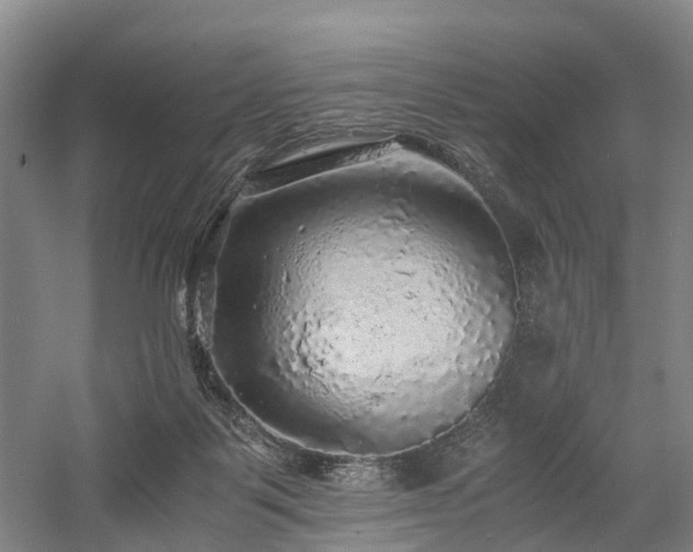X0000058760123200509301028