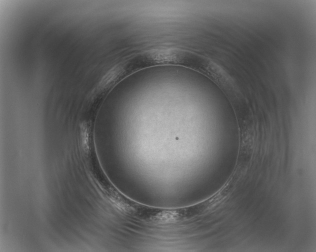 X0000058760124200509301028