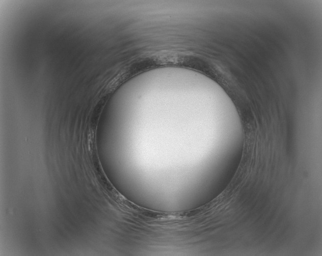 X0000058760125200509301028