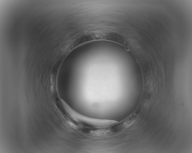 X0000058760129200509301028