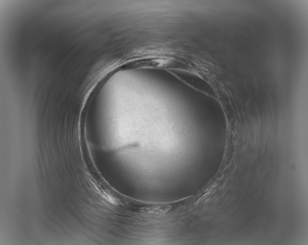 X0000058760148200509301027