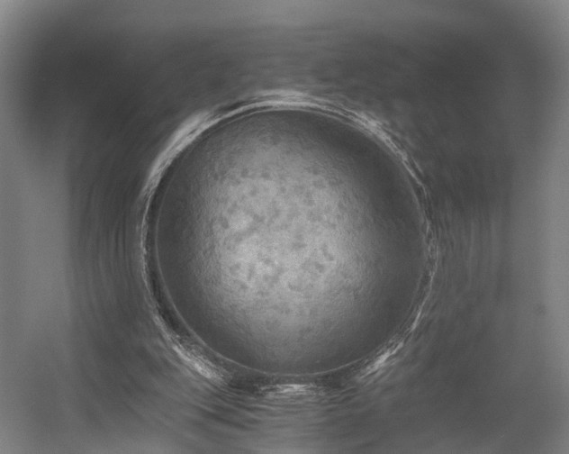 X0000058760151200509301027