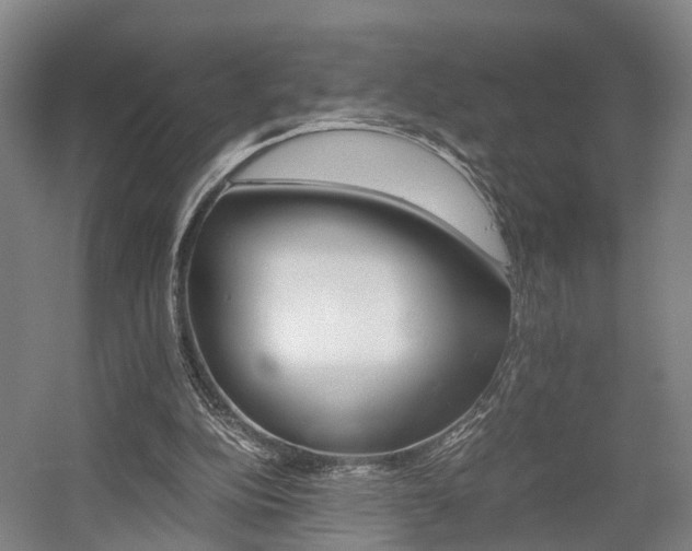 X0000058760152200509301027