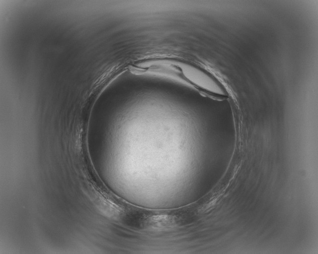 X0000058760153200509301027