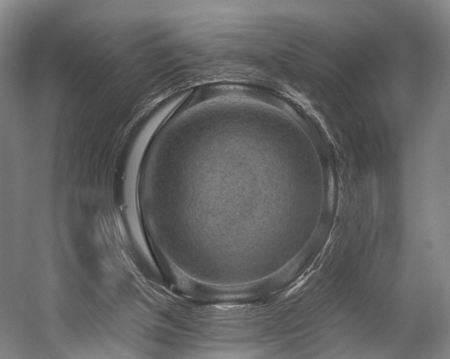 X0000058760154200509301027