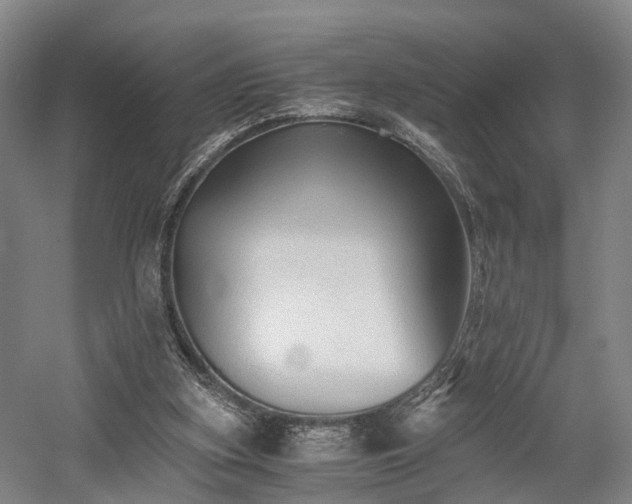 X0000058760155200509301027