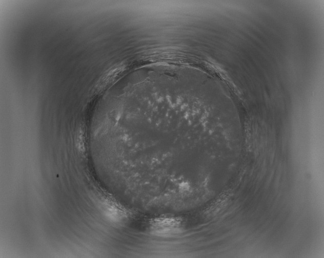 X0000058760161200509301027