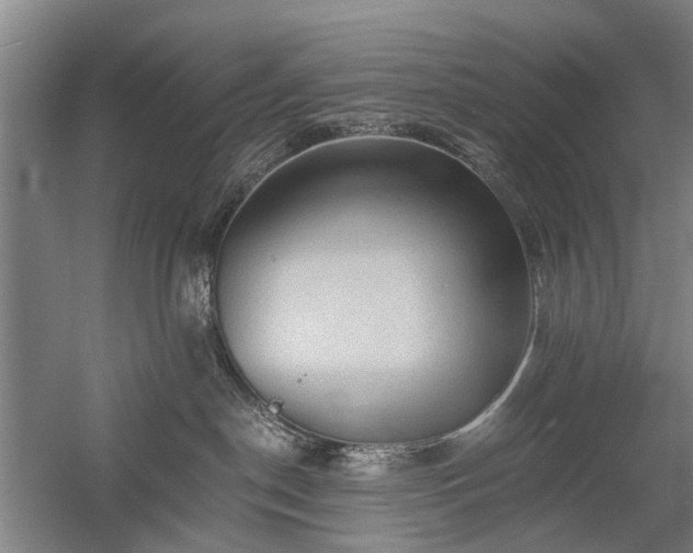 X0000058760190200509301027