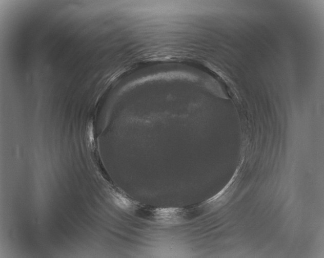 X0000058760192200509301027