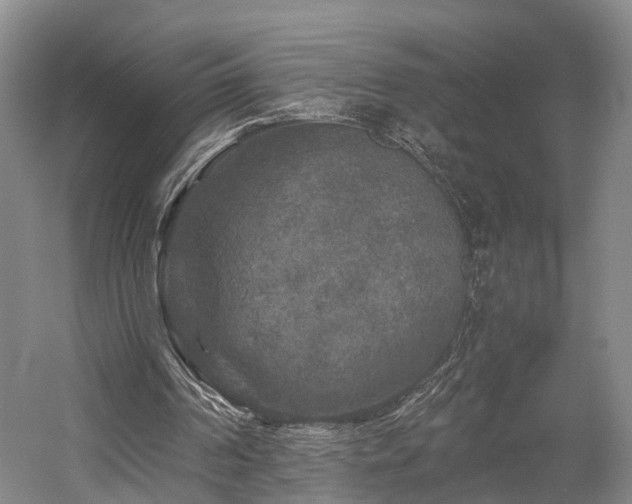 X0000058760194200509301027