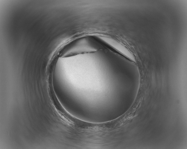 X0000058760197200509301027