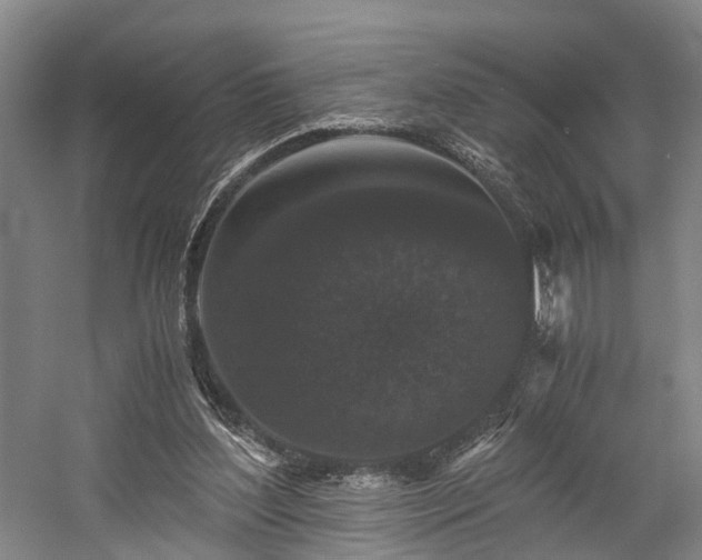 X0000058760204200509301026