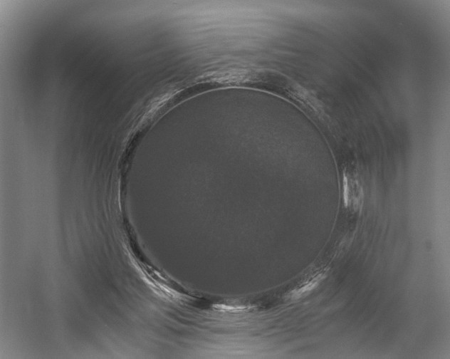 X0000058760205200509301026