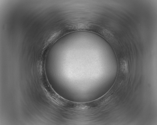X0000058760206200509301026