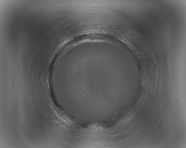 X0000058760207200509301026