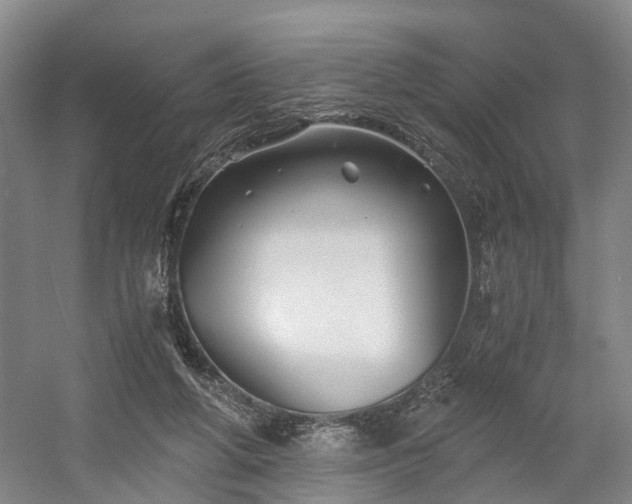 X0000058760210200509301026