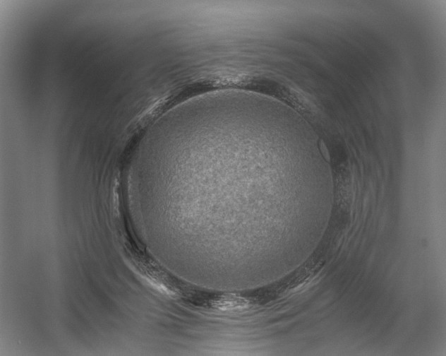 X0000058760215200509301026