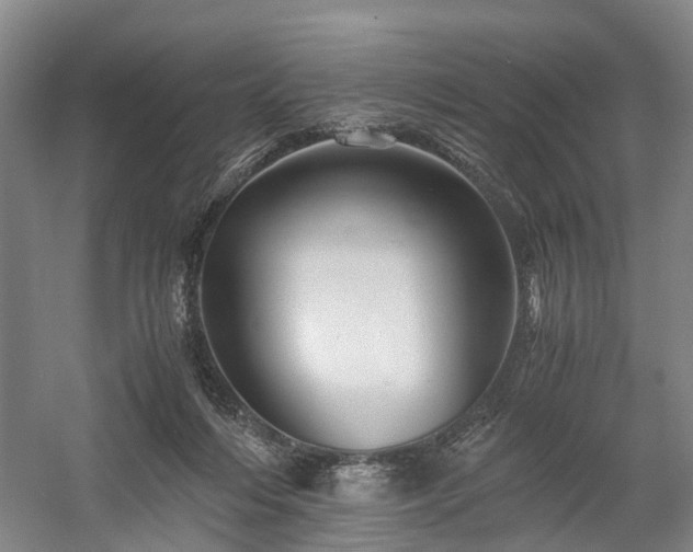 X0000058760216200509301026