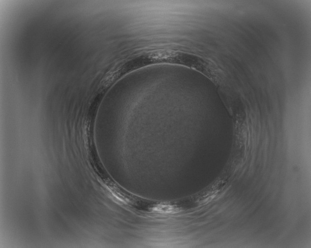 X0000058760227200509301026
