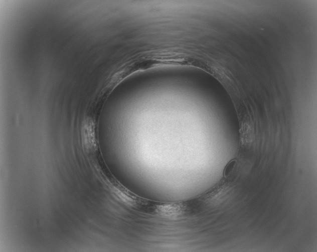 X0000058760238200509301026
