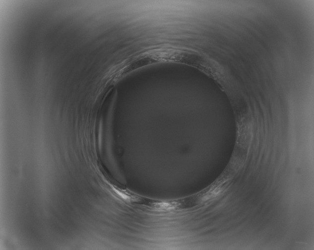X0000058760239200509301026