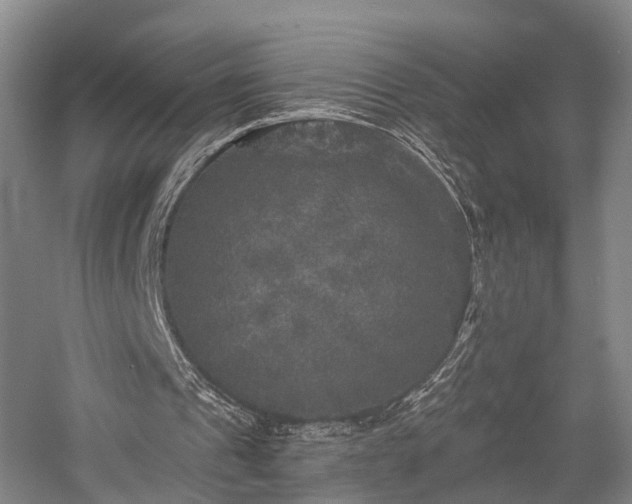 X0000058760241200509301025