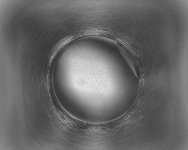 X0000058760244200509301025