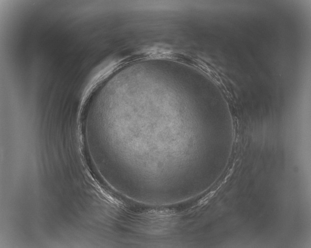 X0000058760245200509301025