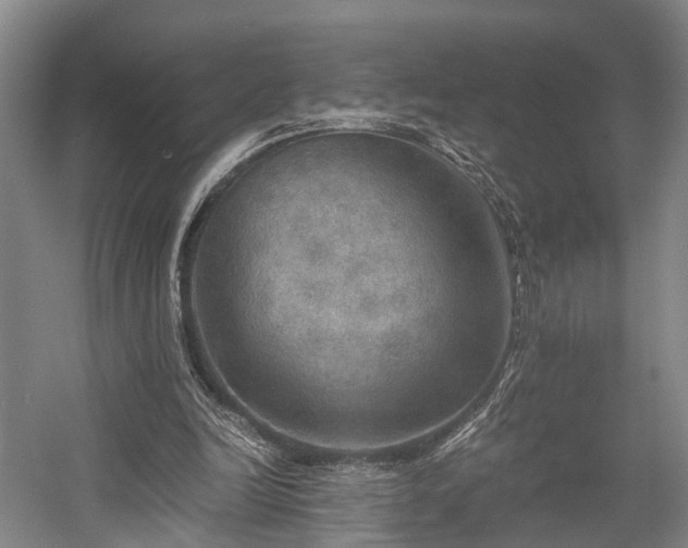 X0000058760246200509301025