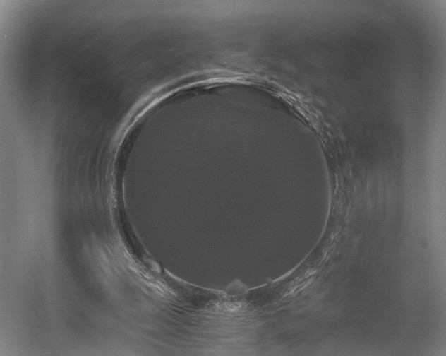 X0000058760247200509301025