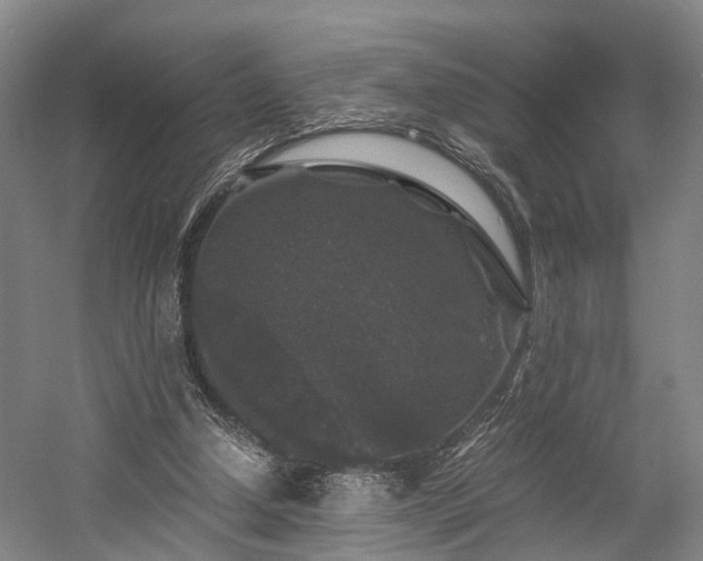 X0000058760250200509301025