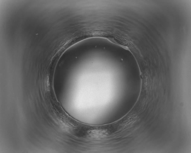 X0000058760251200509301025