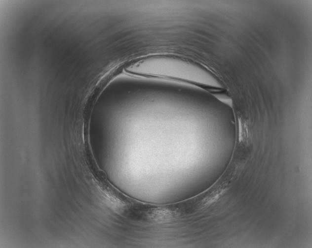 X0000058760253200509301025