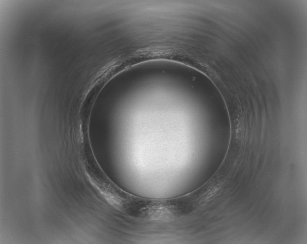 X0000058760254200509301025