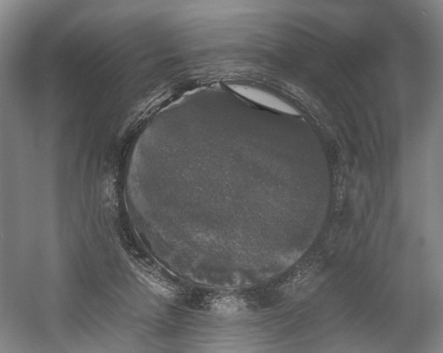 X0000058760258200509301025