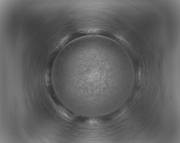 X0000058760264200509301025