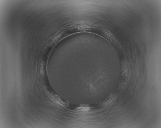 X0000058760266200509301025
