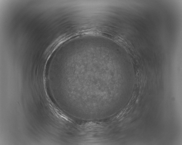 X0000058760290200509301025