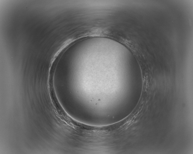X0000058760292200509301025