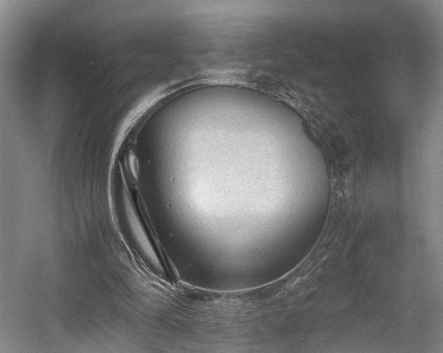 X0000058760294200509301025