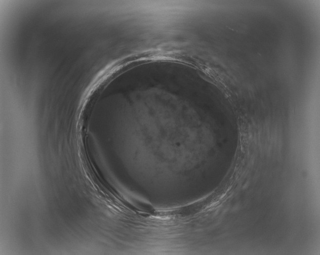 X0000058760295200509301025