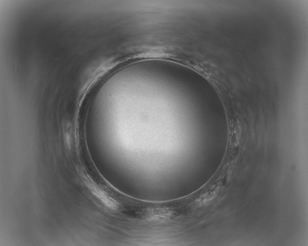 X0000058760296200509301025