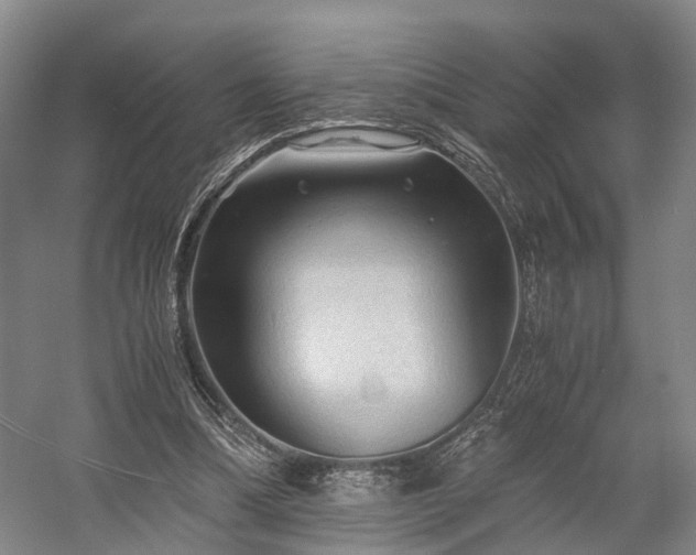 X0000058760298200509301025